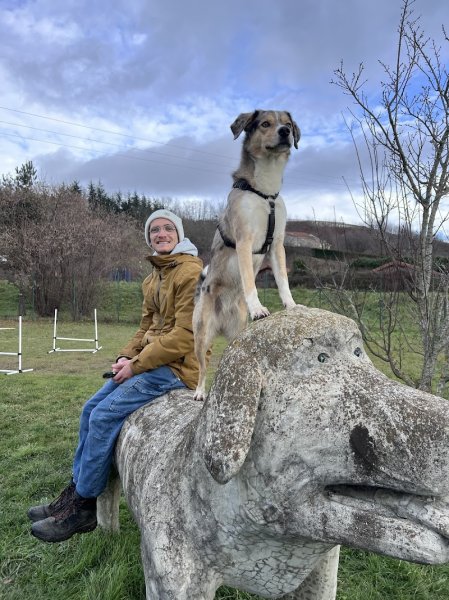 Doggy Parc 42 - photo 1