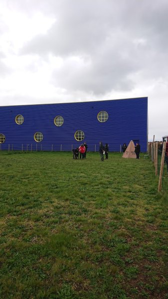 Club des Amis du Chien du Forez - CACDF - photo 1