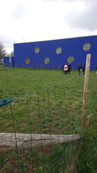 Club des Amis du Chien du Forez - CACDF - photo 3