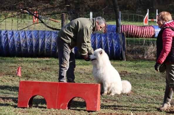 Club canin du Val de Loire