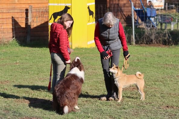 Club canin du Val de Loire - photo 2