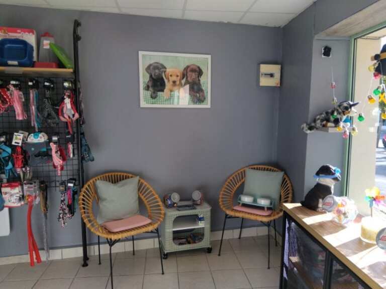 Au Chien Coquet - photo 3