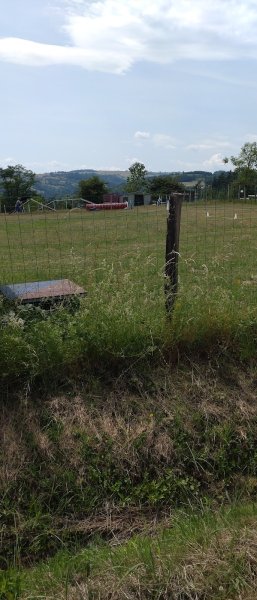 Club canin des gorges de la Loire - photo 1