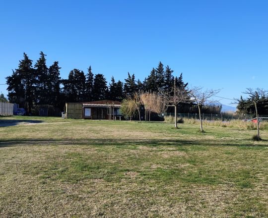 Club Canin Saint Cyprien