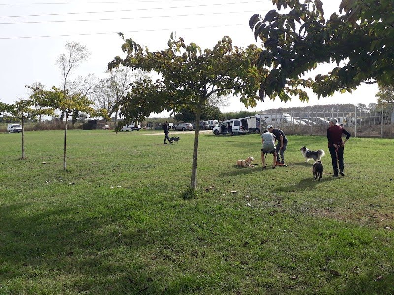 Club Canin Saint Cyprien - photo 2