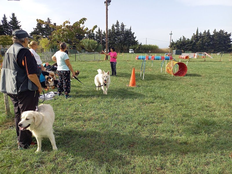 Club Canin Saint Cyprien - photo 3