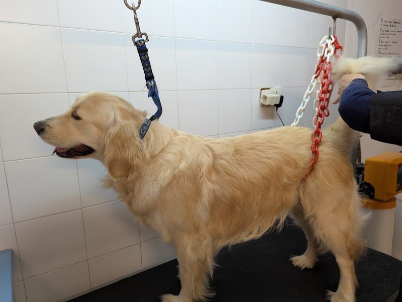 E'pilat'chien - photo 2