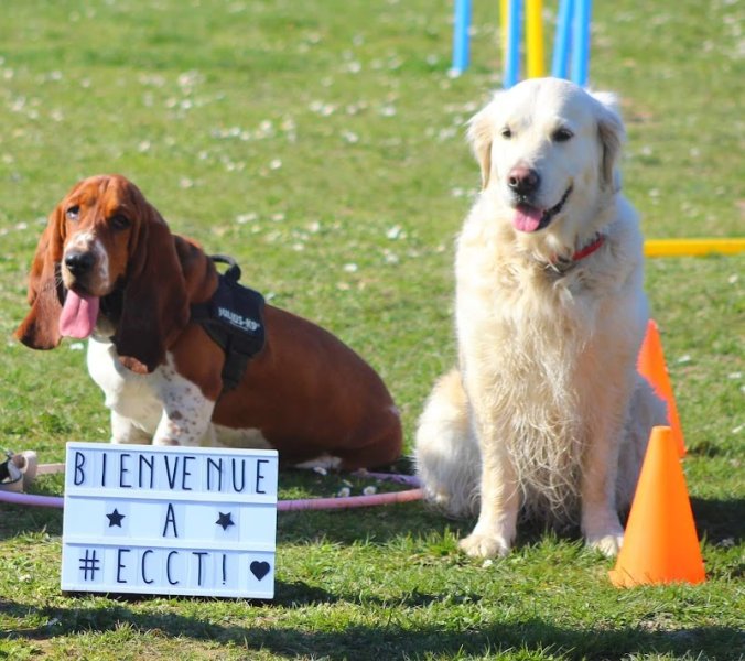 Éducation Canine - Châteauneuf en Thymerais - photo 3