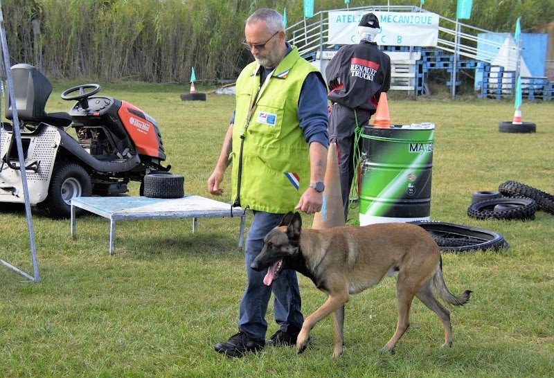 Centre de Dressage de la Côte Bleue - photo 1
