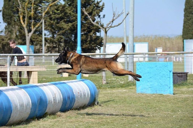 Centre de Dressage de la Côte Bleue - photo 2