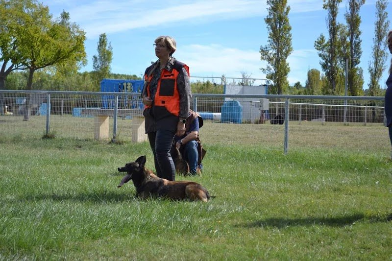 Centre de Dressage de la Côte Bleue - photo 3