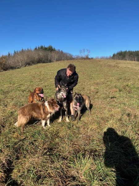 DB DOGS - Education canine et pension en meute