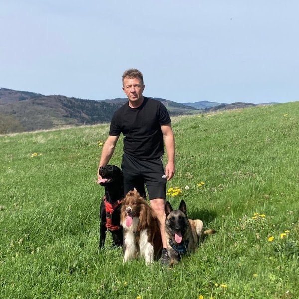 DB DOGS - Education canine et pension en meute - photo 2