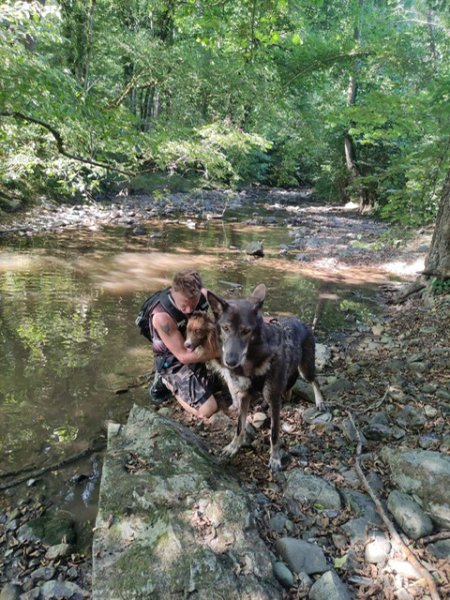 DB DOGS - Education canine et pension en meute - photo 3