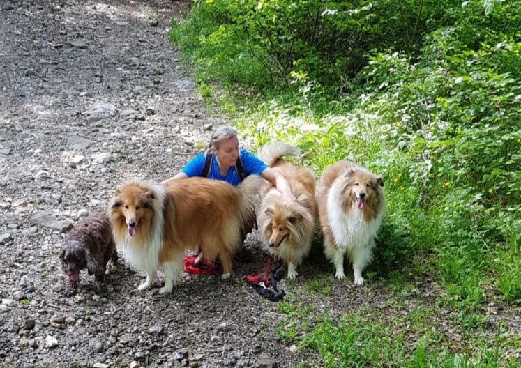 DOG'N COOL 74 - photo 3