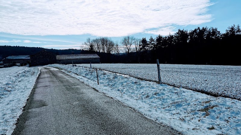 Formule Canine - photo 1