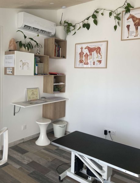 Ostéopathe équin, canin, félin - Mélanie Girard-Tholot