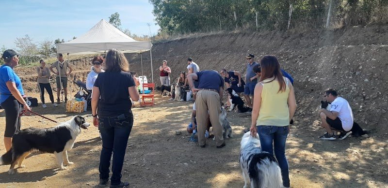 LBC Educateur canin - photo 2