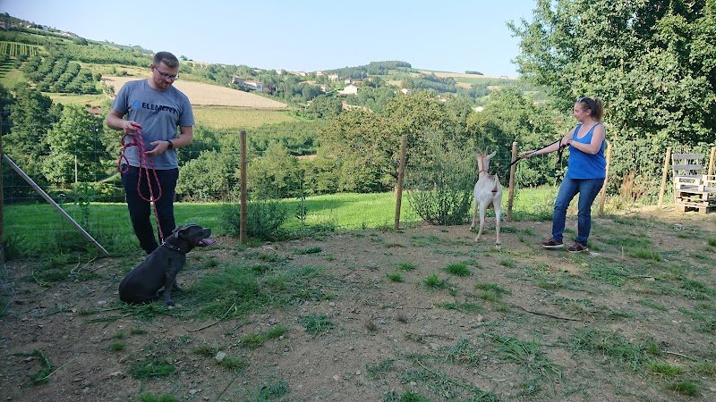 LBC Educateur canin - photo 3