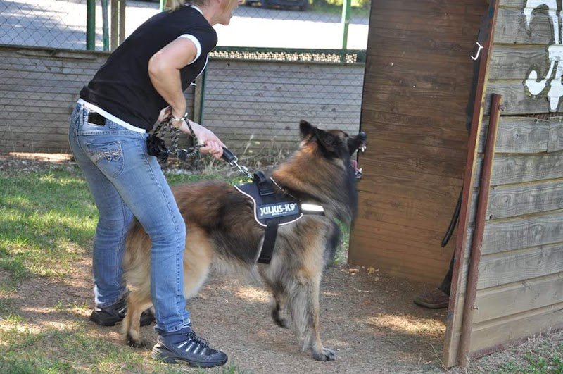 Club canin du LOT - photo 2