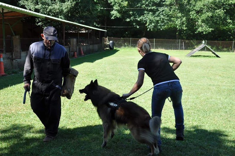 Club canin du LOT - photo 3