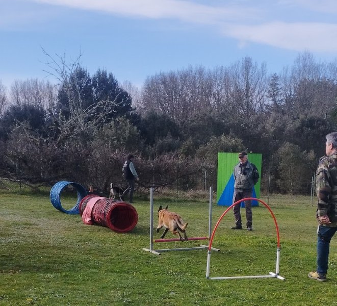 Club de Loisirs Canin du Lot - photo 2