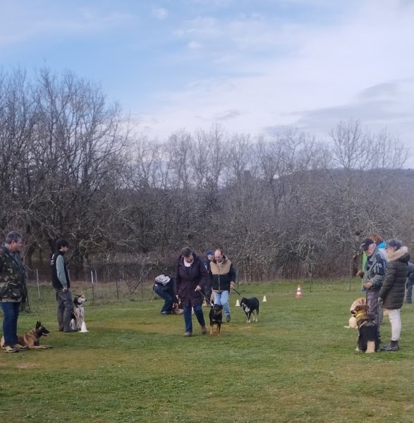 Club de Loisirs Canin du Lot - photo 3