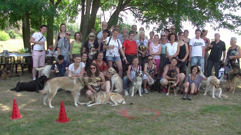 Centre d'Éducation Canine Brindas - photo 1