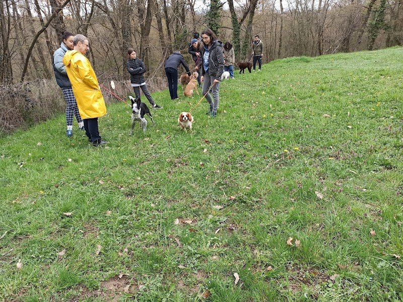Centre d'Éducation Canine Brindas - photo 2