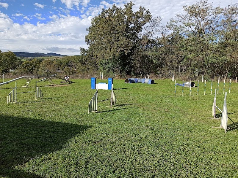 Centre d'Éducation Canine Brindas - photo 3