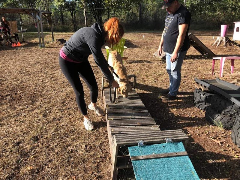 Dog’Docile - photo 3