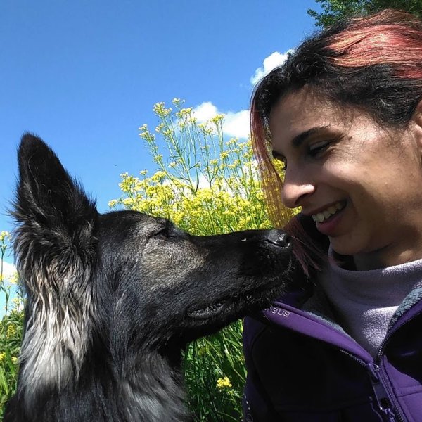 Nos Toutous & Nous Ramassamy Céline - Nutrition & naturopathie, comportement canin - photo 2