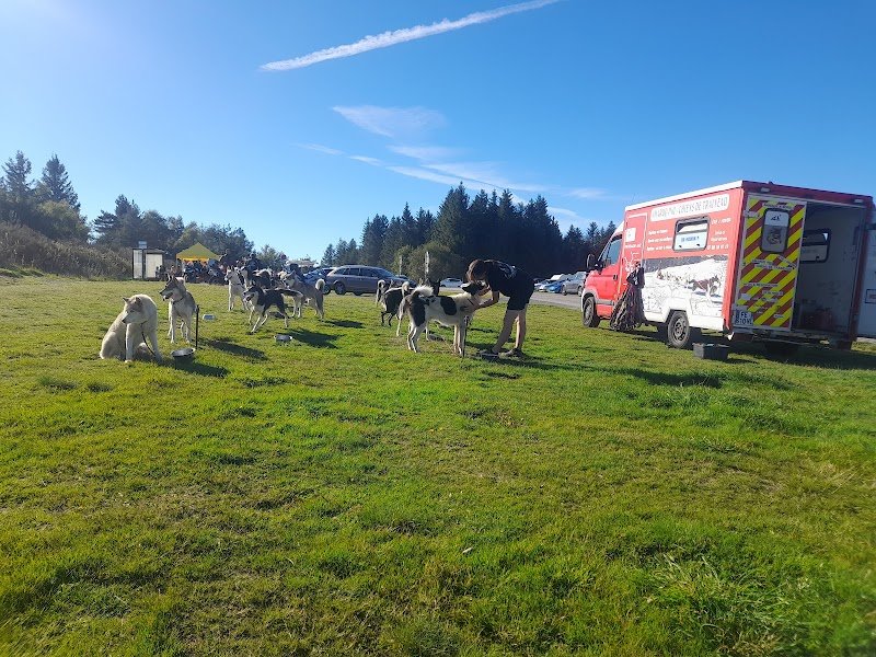 Les chiens de traîneaux du Bessat - amaruq inu - photo 2