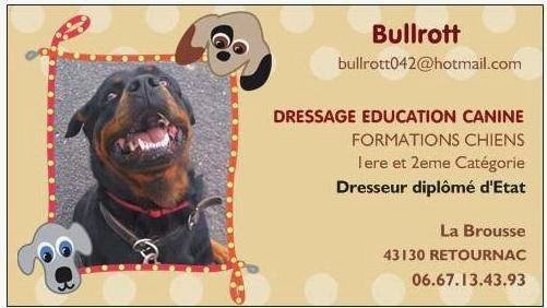 education canine bullrott - photo 1