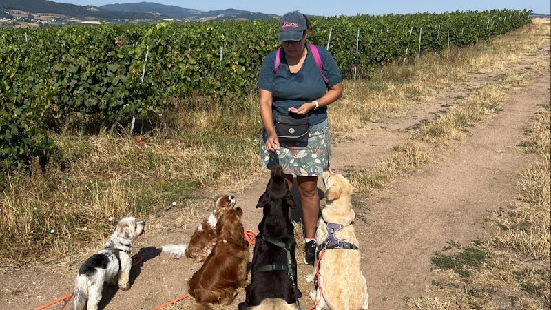 Mes Complices Canins - photo 1