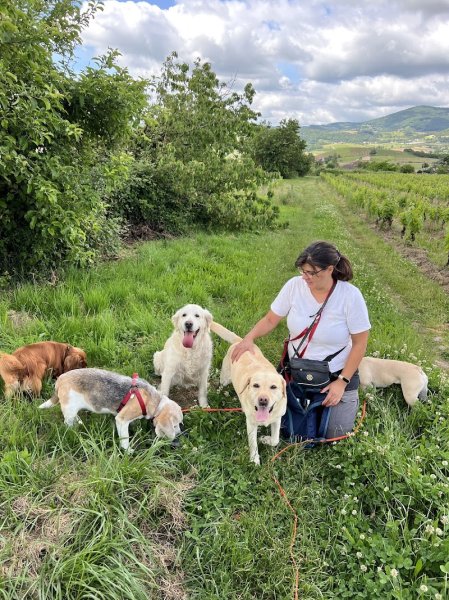 Mes Complices Canins - photo 2
