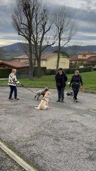 Mes Complices Canins - photo 3