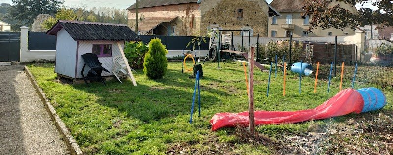 Plenidog éducation canine Jura - photo 3