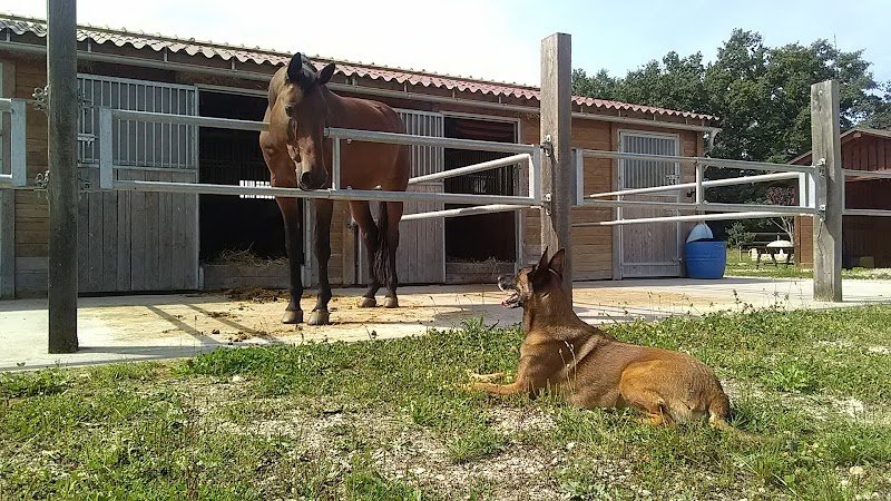 Centre Canin Boyer - photo 2