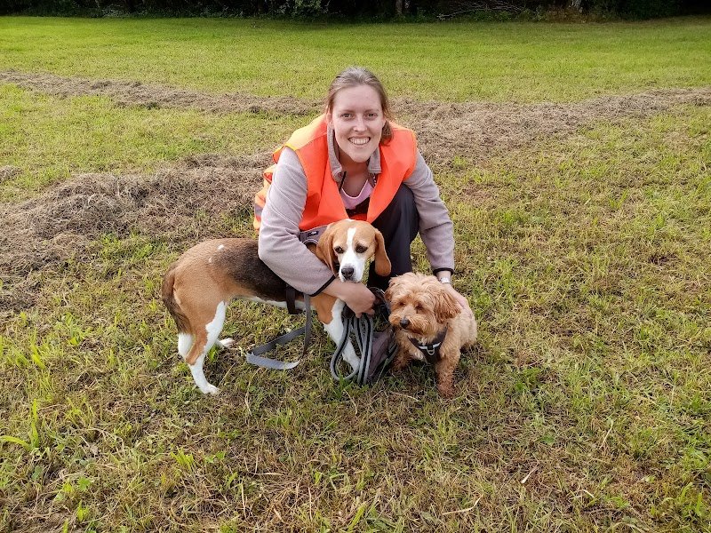 Comme À La Maison - Éducateur canin comportementaliste et VAD