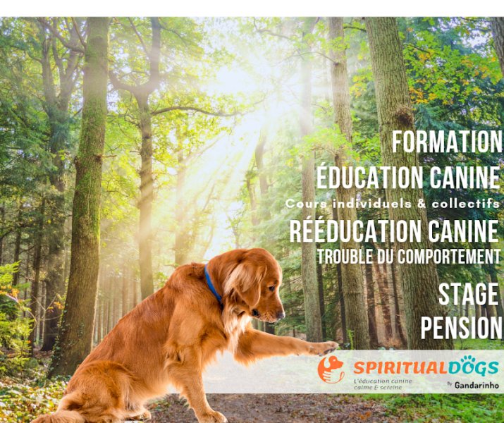 Spiritualdogs by Gandarinho : centre d'éducation canine