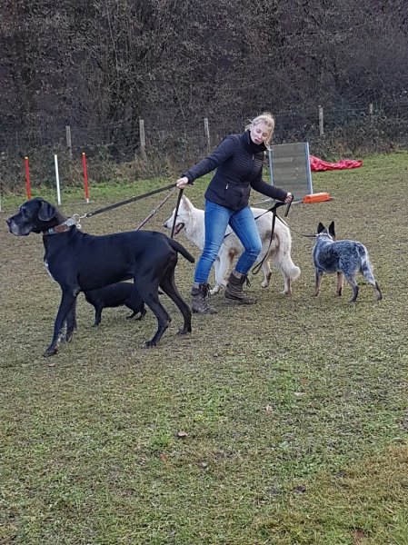 Spiritualdogs by Gandarinho : centre d'éducation canine - photo 2