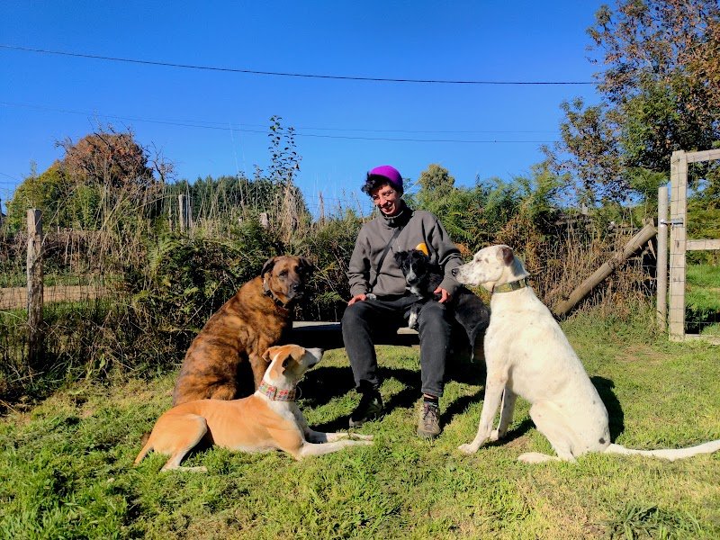 Canipotes - Education et Comportement Canin - photo 1