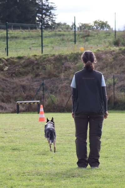 Club Canin des Sucs - photo 1