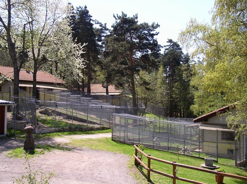 Hostellerie Canine de La Boulaie - photo 1