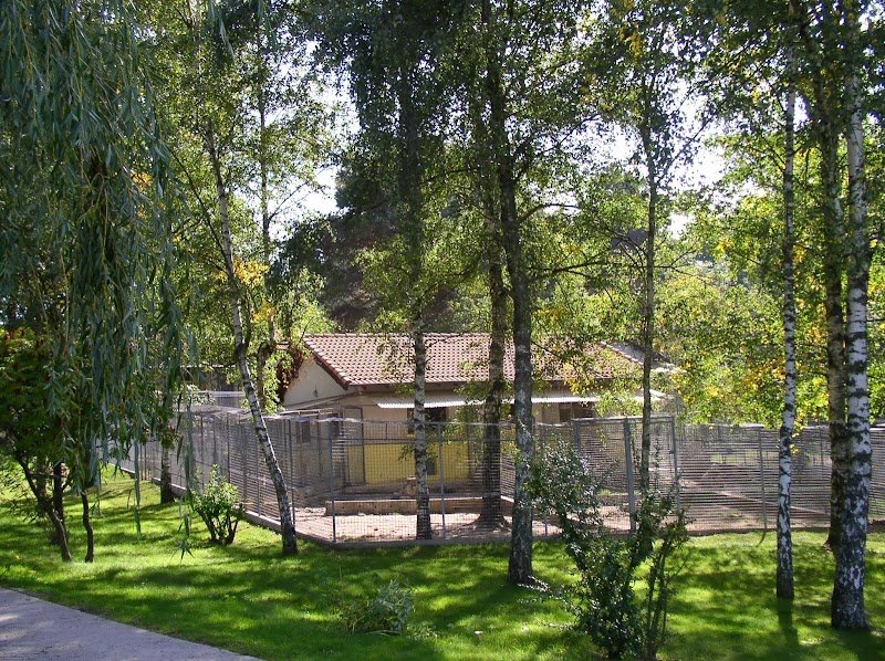 Hostellerie Canine de La Boulaie - photo 2