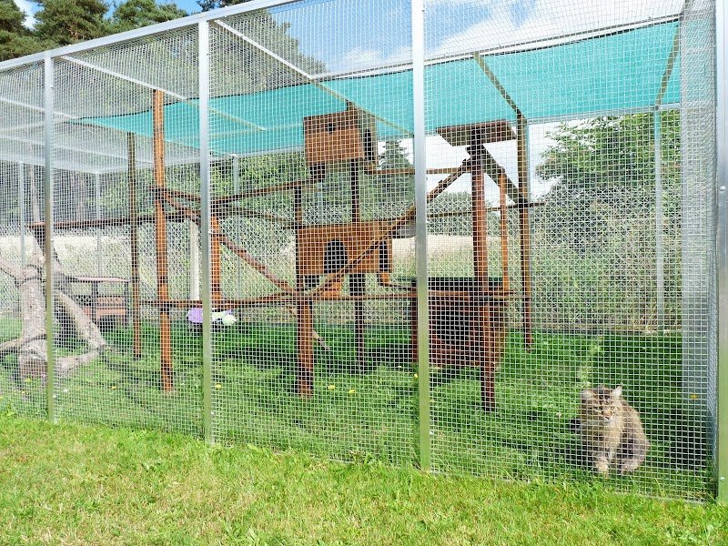 Hostellerie Canine de La Boulaie - photo 3