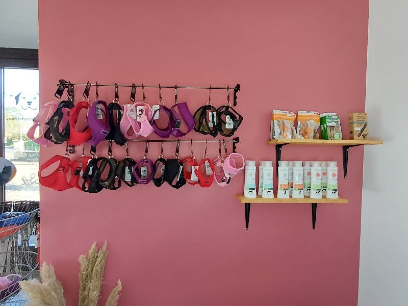 Pat à chiens - photo 1