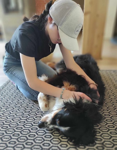 Coeur de Pattes - Massages Équin & Canin