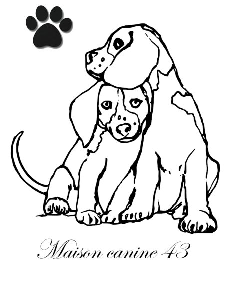 Maison Canine 43 - photo 1